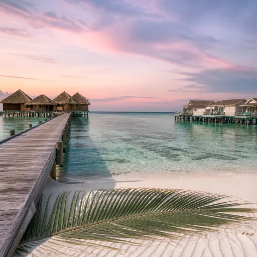 Hilton signs its fifth Maldives brand: what Coco de Mer and the Tapestry Collection bring to the atolls