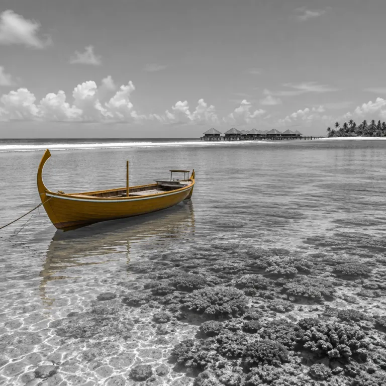 Forget the autumn leaves: why the Maldives reef offers a better October escape