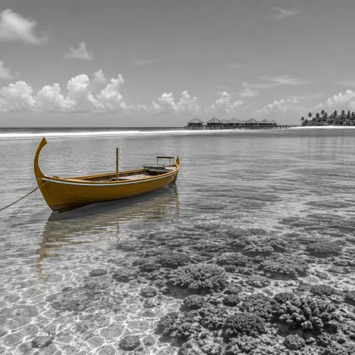 Forget the autumn leaves: why the Maldives reef offers a better October escape