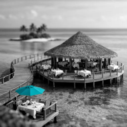 Park Hyatt Maldives dining: refined island gastronomy with ocean views